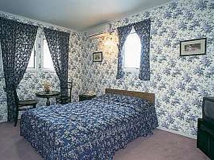 クラシックイン　ロビンソン 写真