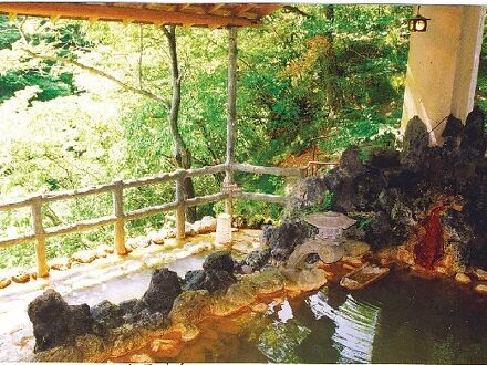 赤城温泉　花の宿　湯之沢館 写真