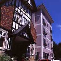 斑尾レインストンホテル 写真