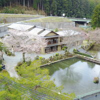 あまご池　高見山荘 写真