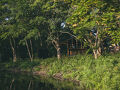 Earthboat Nasu (アースボート那須) 写真
