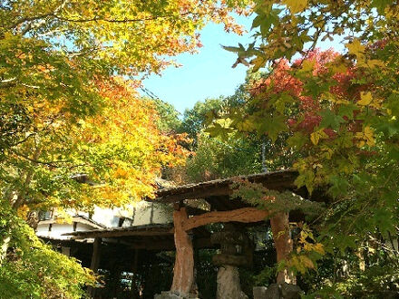 おおぎ荘 写真