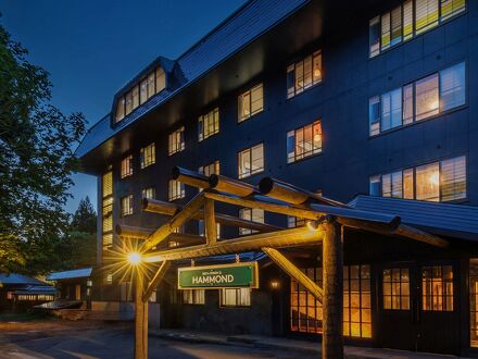 BED'n ONSEN HAMMOND 写真