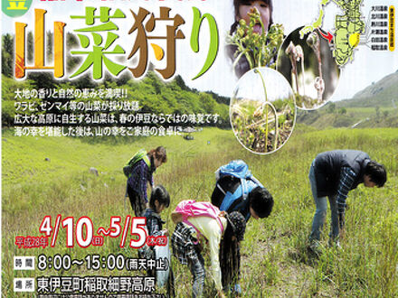 梅のお宿　温泉民宿　宮田荘 写真