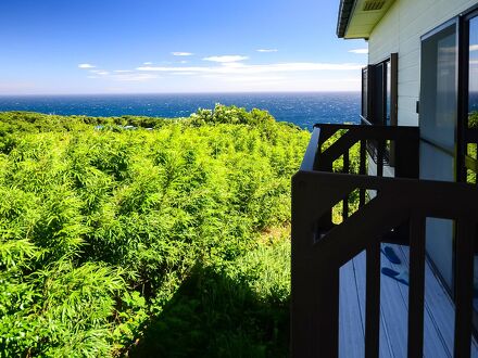 島の宿 三宅島スナッパー 写真