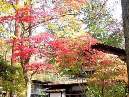 ホテル B4T 角館 写真