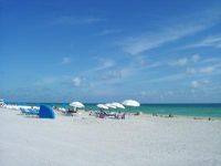 マイアミ (フロリダ州) 