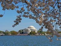ワシントンＤ.Ｃ.