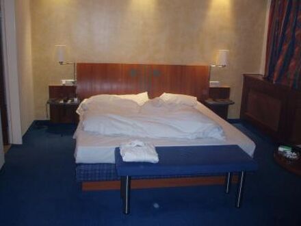 プラザ コングレスホテル ヨーロッパ シュトゥットガルト 写真