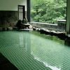 鹿塩温泉 湯元 山塩館　秘湯です。