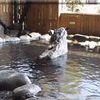 湯西川別館