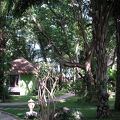 THE ISLAND RESORT