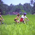 自転車でウブド郊外を探検しよう・・・
