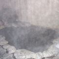 姥子温泉 芦ノ湖一の湯