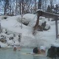 白骨温泉：泡の湯