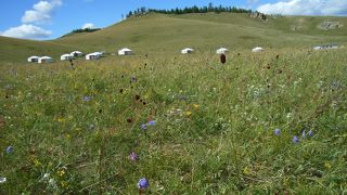 乗馬！お花畑！お勧め旅行会社