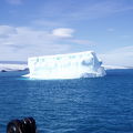 南極旅行の費用、船、クルーズの選び方など