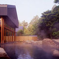 星野温泉　トンボの湯