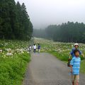 箱根ピクニックガーデンゆり園