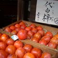 落柿舎の近くの柿