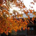 常寂光寺の紅葉です。秋には、紅葉の嵐のような、色と