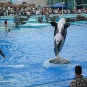 名古屋港水族館