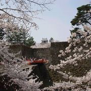 会津若松の鶴ヶ城の桜