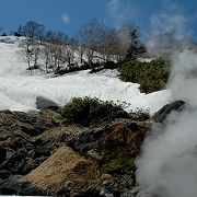 ワイルドな≪蒸ノ湯温泉≫の野天風呂