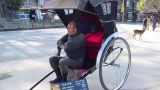 宮島へ渡る方法～公共交通機関利用の場合