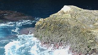 グロットを陸から見に行くと