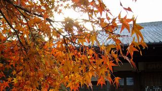 常寂光寺の紅葉です。秋には、紅葉の嵐のような、色と