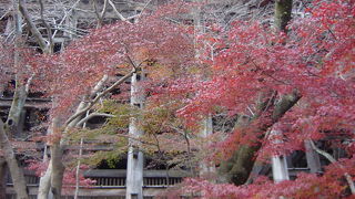 これは「クチコミ」でなく？やや違反的「クチコミ」です！