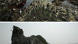 浄土ヶ浜での磯遊びや海水浴