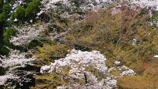 タッキーも訪れた場所