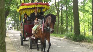 馬車に揺られての遊覧