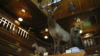 バンフ公園博物館　Banff Park Museum