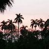 キューバ･ハバナからトリニダーへの1泊2日ツアー（２００６年5月１１日）