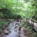 大湯沼川の天然足湯