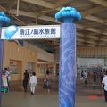 新江ノ島水族館の年間パスポート♪