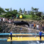 越前松島水族館