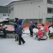 源流の森クルージング体験