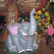 RAINFOREST CAFE（ＭＧＭグランド内）