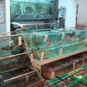 香港　海鮮料理『天虹海鮮酒家』　ラマ島