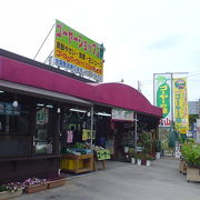 ゴーヤパークの売店