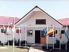 タハ タイ 写真