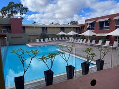 The Lost Camel 写真