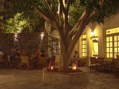 エルピダ ヴィレッジ 写真