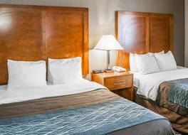 コンフォート イン インディアナポリス サウス 写真