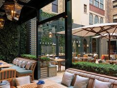 ザ シェルボーン オートグラフ コレクション 写真