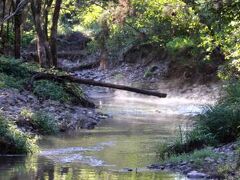 Yabbaloumba Retreat 写真